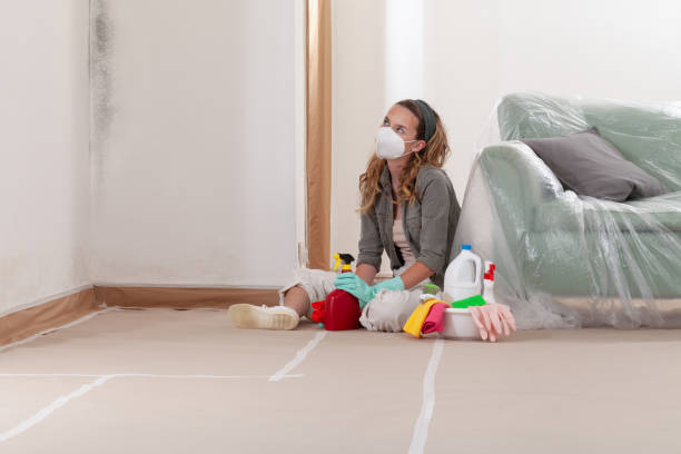 Reliable Mold Remediation contractor in Ashland, IL by WQB Mold Removal
